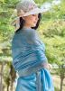 Blue Organza Saree & Blouse In Stone Work