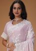 Light Pink Embroidered Saree & Blouse