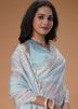 Sky Blue Embroidered Organza Saree
