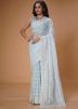 Sky Blue Embroidered Organza Saree