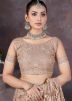 Brown Thread Work Net Saree