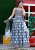 Grey Printed Flared Long Kurta & Dupatta
