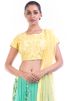 Aqua Green Embroidered Lehenga Choli With Dupatta 