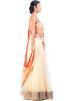 Cream Chiffon Net Lehenga Choli With Dupatta