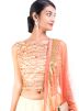 Cream Chiffon Net Lehenga Choli With Dupatta