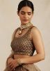 Brown Sequins Embellished Net Lehenga Choli