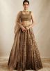Brown Sequins Embellished Net Lehenga Choli