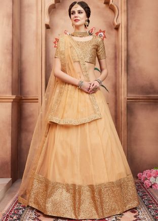 Beige Net Sequins Border Lehenga Choli