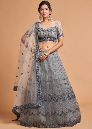 Grey Net Embroidered Lehenga Choli