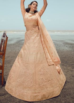 Peach Gota Embroidered Organza Lehenga Choli