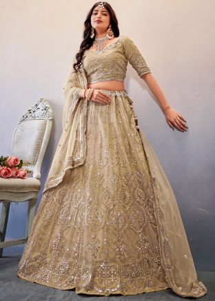 Beige Sequins Embellished Net Lehenga Choli