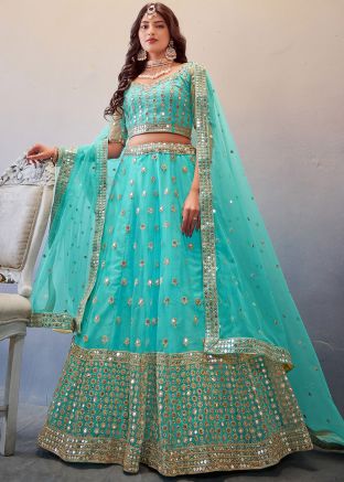 Blue Heavy Border Embroidered Lehenga Choli