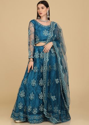 Blue Net Embroidered Lehenga Choli