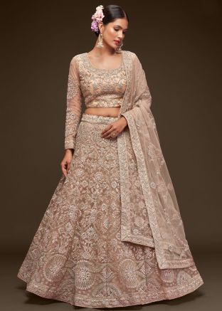 Beige Embroidered Net Lehenga Choli Set