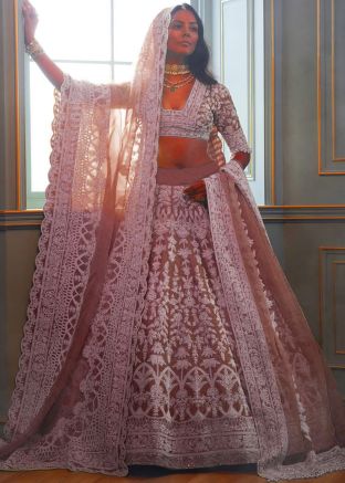 Brown Embroidered Lehenga Choli In Net