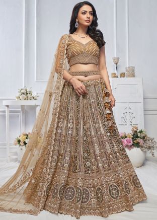 Brown Embroidered Lehenga Choli
