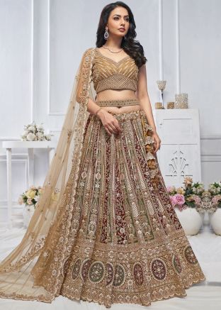 Golden Embroiderd Net Lehenga CholiEmbroidered