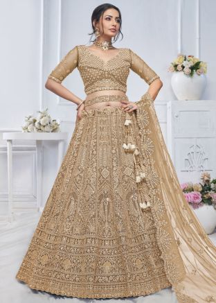 Brown Embroidered Lehenga Choli