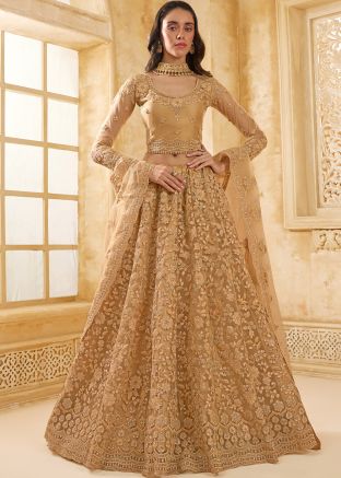 Beige Dori Embroidered Lehenga Choli In Net