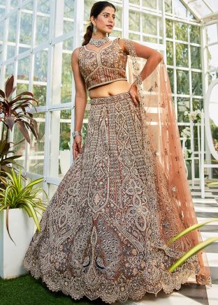 Brown Net Embroidered Lehenga Choli & Dupatta