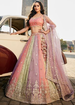 Multicolored Embroidered Lehenga Choli In Tissue