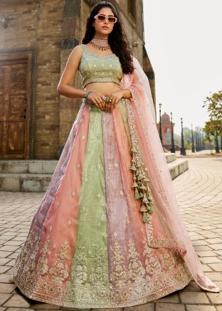 Multicolored Embroidered Lehenga Choli Set