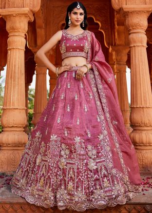Pink Lehenga Choli in Dori Embroidery