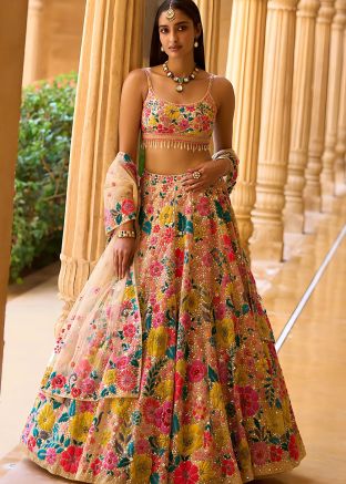 Multicolored Chiffon Lehenga Choli & Dupatta