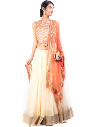 Cream Chiffon Net Lehenga Choli With Dupatta