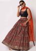 Multicolor Mirror Work Lehenga Choli