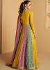 Multicolor Embroidered Anarkali Suit Set
