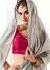 Grey Embroidered Saree & Blouse