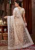 Beige Embroidered Net Saree