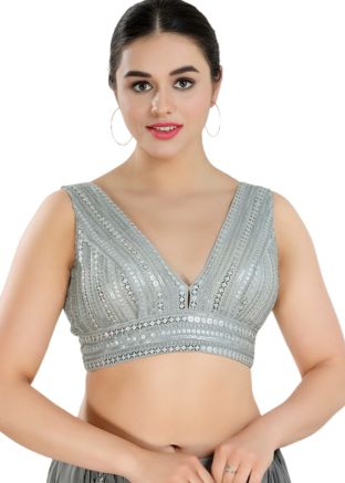 Silver Color Net Saree Blouse 