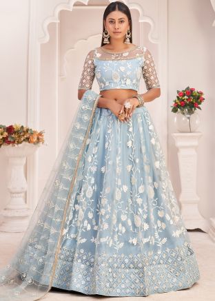 Blue Net Embroiderd Lehenga Choli & Dupatta