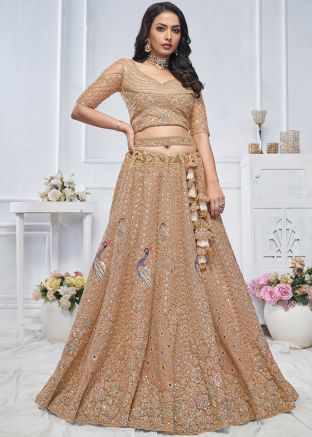 Brown Embroidered Net Lehenga Choli