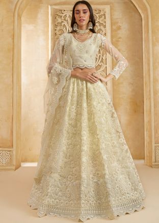 Off White Net Lehenga Choli In Dori Embroidery