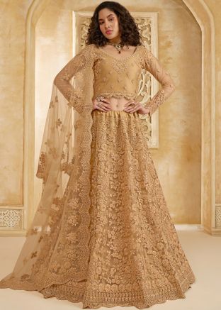 Beige Embroidered Net Lehenga Choli