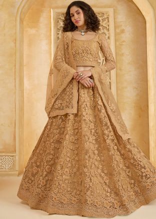 Beige Embroidered Lehenga Choli In Net