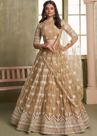 Brown Net Embroidered Lehenga Choli