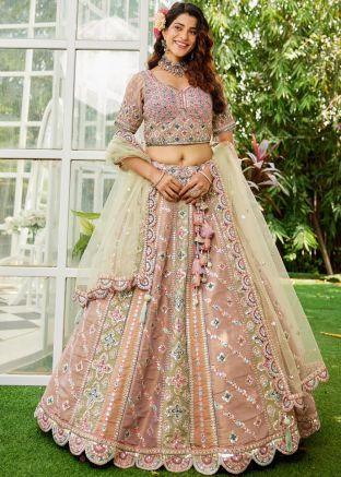 Multicolor Embroidered Lehenga Choli In Net