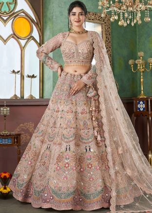 Beige Embroidered Net Lehenga Choli & Dupatta