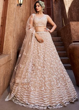 Nude Pink Embellished Net Lehenga Choli
