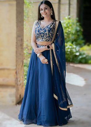 Blue Embroidered Lehenga Choli Set