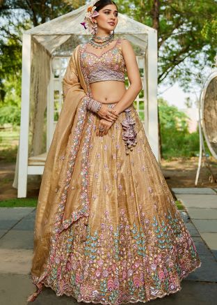 Beige Thread Embroidered Lehenga Choli Set