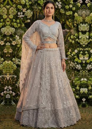 Silver Net Lehenga Choli With HandWork Embroidery