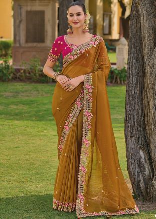 Brown Embroidered Organza Saree & Blouse